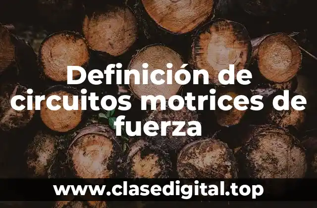 Definición de circuitos motrices de fuerza