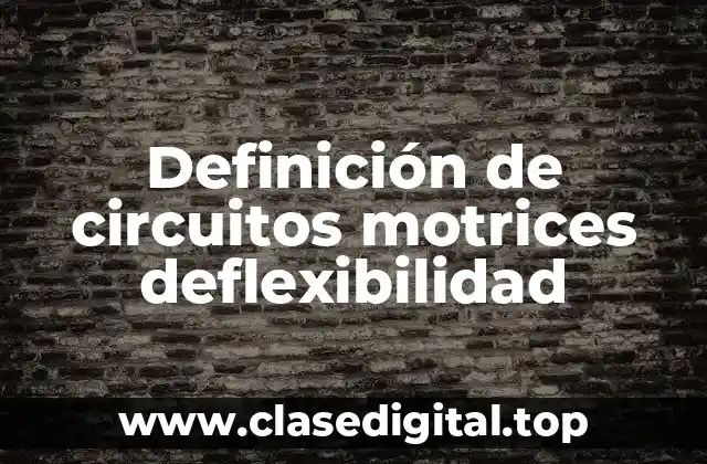 Definición de circuitos motrices deflexibilidad