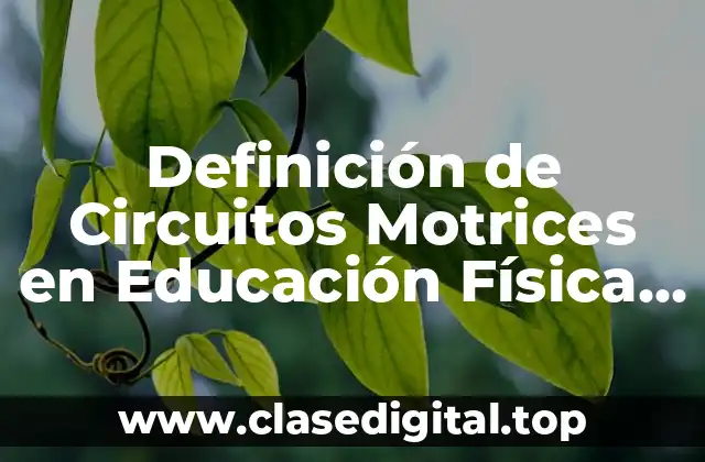 Definición de Circuitos Motrices en Educación Física Descripción