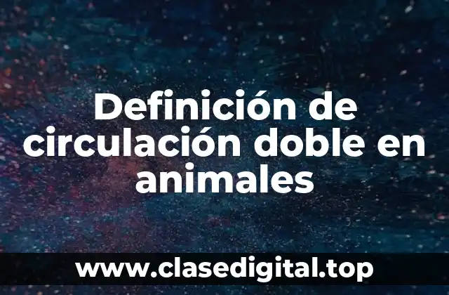Definición de circulación doble en animales