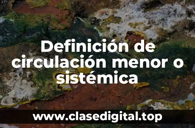 Definición de circulación menor o sistémica