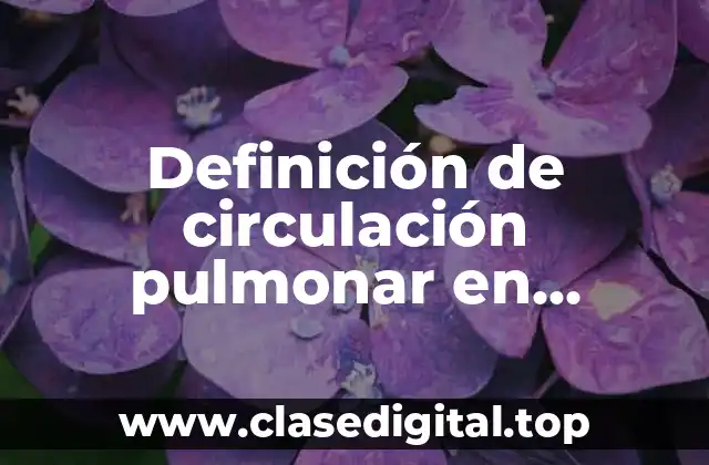 Definición de circulación pulmonar en biología