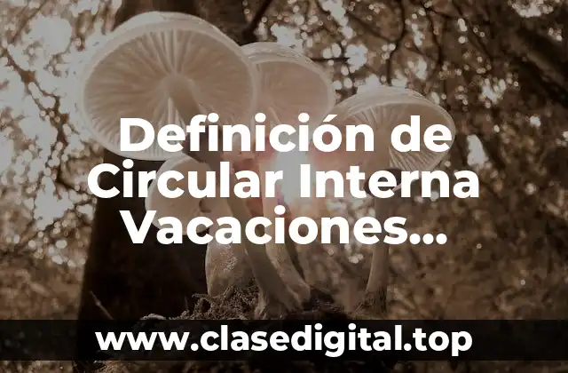Definición de Circular Interna Vacaciones Colectivas
