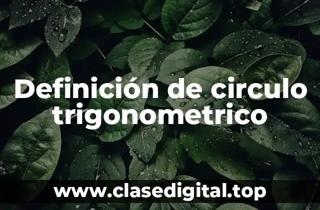 Definición de circulo trigonometrico