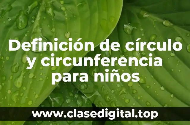 Definición de círculo y circunferencia para niños