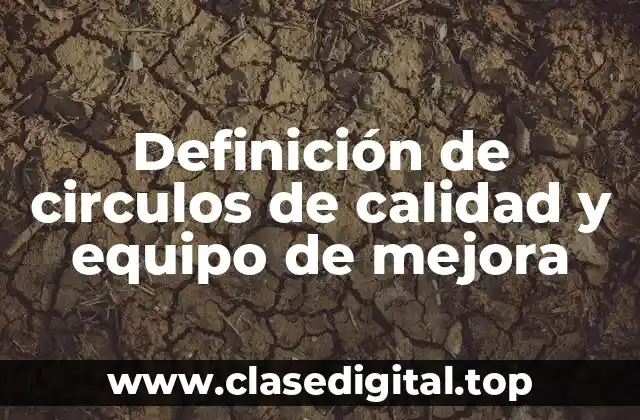 Definición de circulos de calidad y equipo de mejora