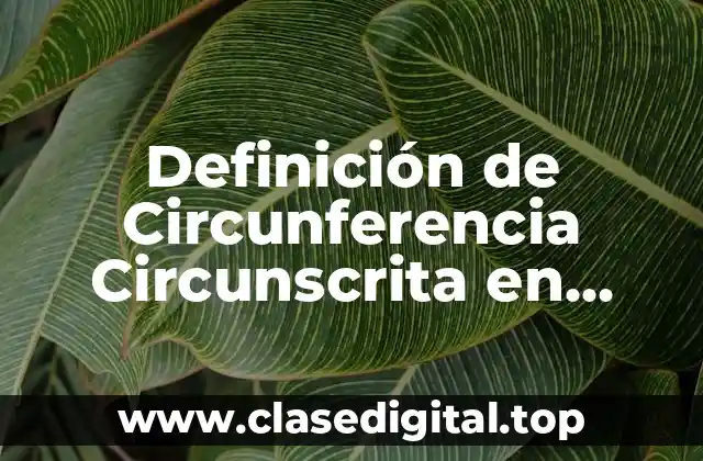 Definición de Circunferencia Circunscrita en Matemáticas