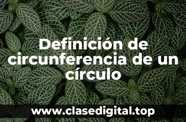 Ejemplos de circunferencia de un círculo
