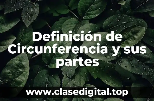 Definición de Circunferencia y sus partes
