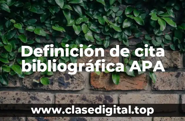 Definición de cita bibliográfica APA