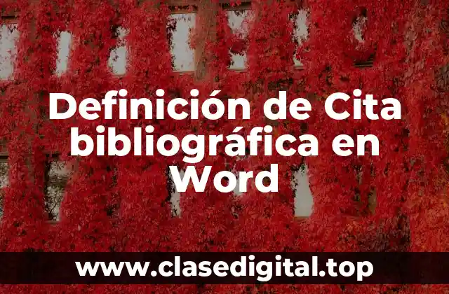 Definición de Cita bibliográfica en Word