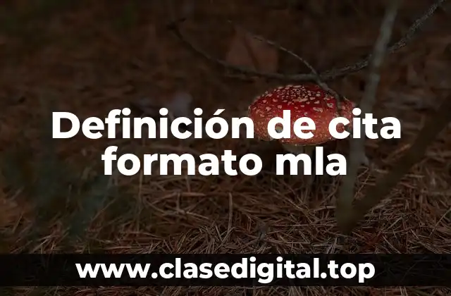 Definición de cita formato mla