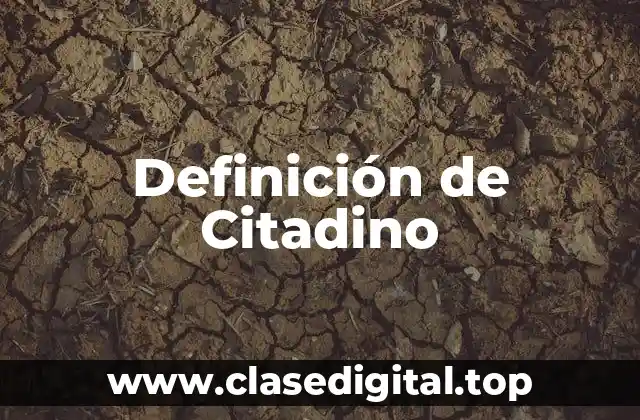Definición de Citadino