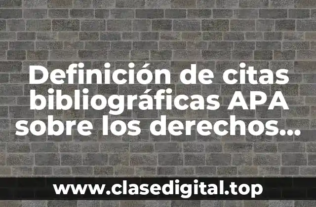Definición de citas bibliográficas APA sobre los derechos humanos