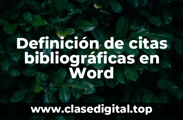 Definición de citas bibliográficas en Word