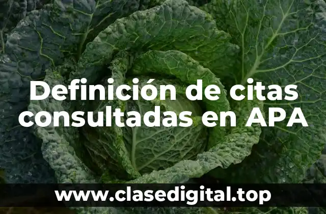 Definición de citas consultadas en APA
