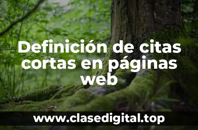 Definición de citas cortas en páginas web