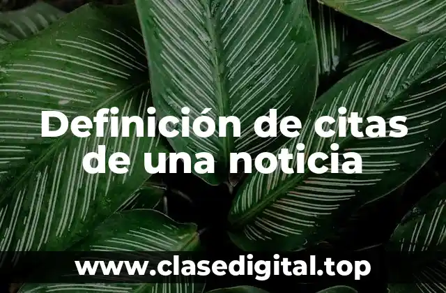 Definición de citas de una noticia