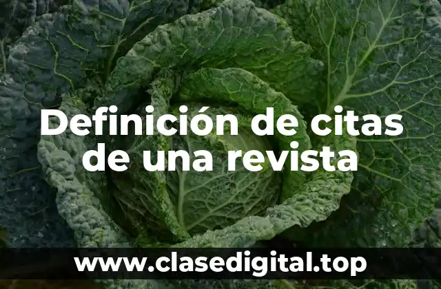 Definición de citas de una revista
