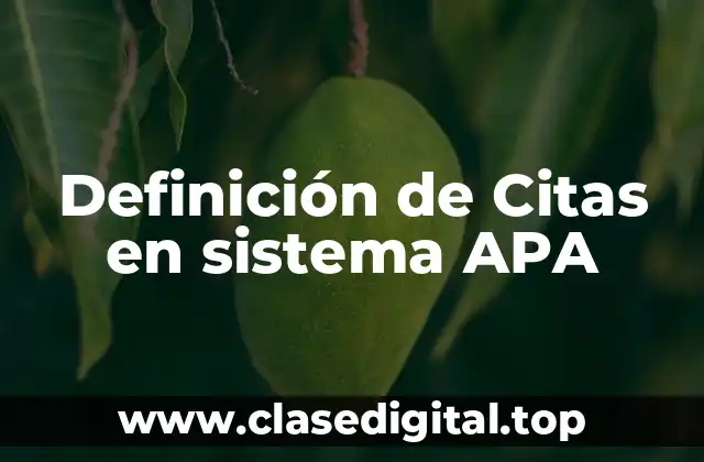 Definición de Citas en sistema APA