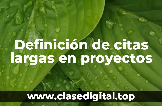 Definición de citas largas en proyectos