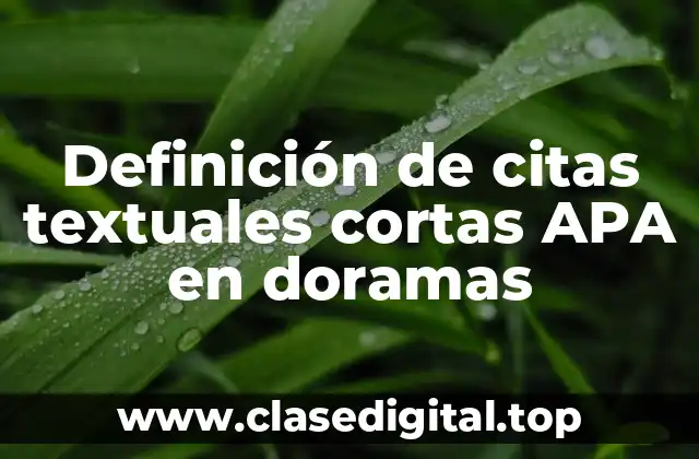 Definición de citas textuales cortas APA en doramas