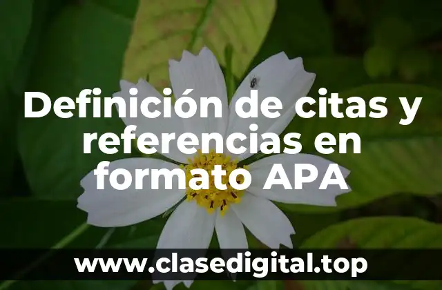 Ejemplos de citas y referencias en formato APA