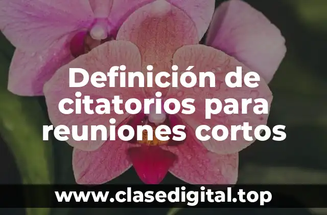 Definición de citatorios para reuniones cortos