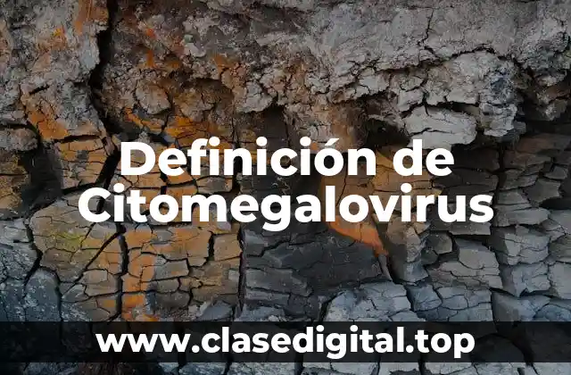 Definición de Citomegalovirus