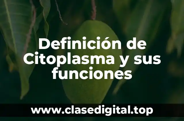 Definición de Citoplasma y sus funciones