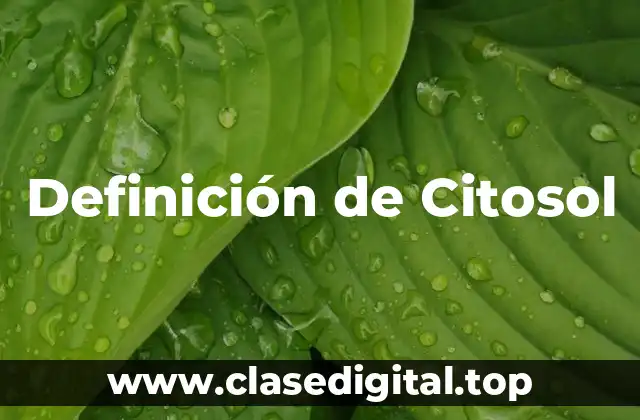 Definición de Citosol
