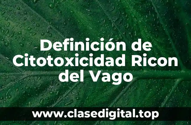 Definición de Citotoxicidad Ricon del Vago