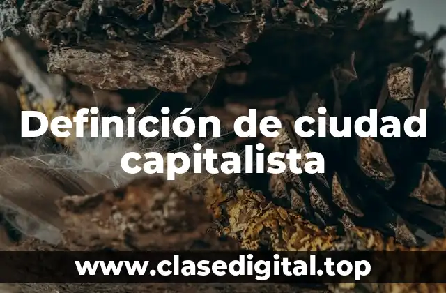 Definición de ciudad capitalista