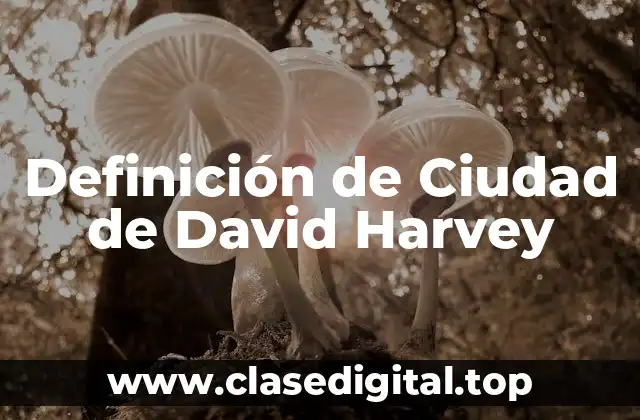 Definición de Ciudad de David Harvey