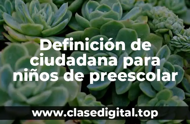 Definición de ciudadana para niños de preescolar