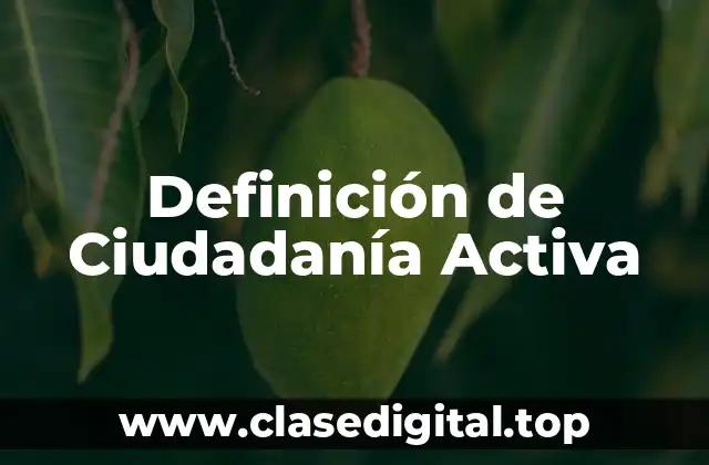 Definición de Ciudadanía Activa