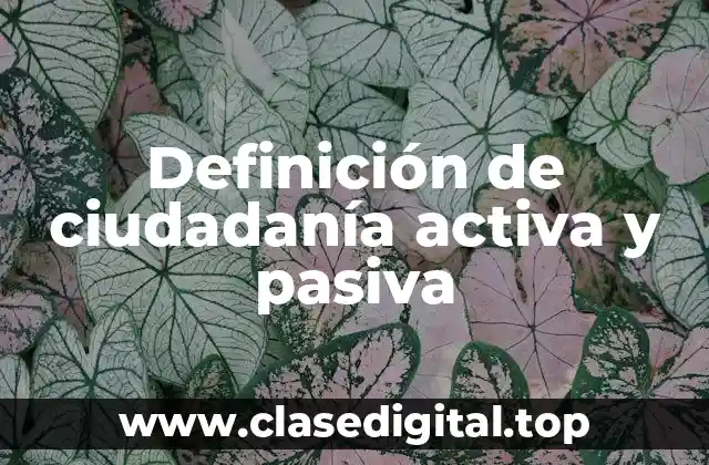 Definición de ciudadanía activa y pasiva