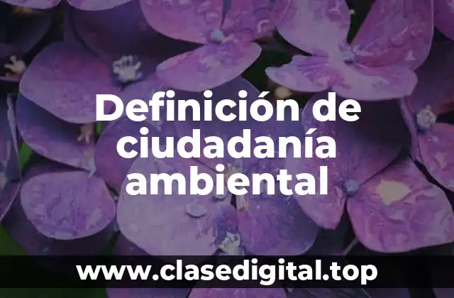 Definición de ciudadanía ambiental