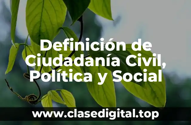 Definición de Ciudadanía Civil, Política y Social