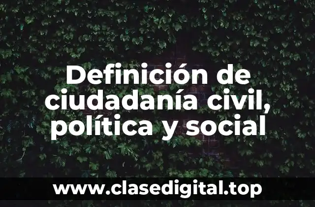 Definición técnica de ciudadanía civil, política y social