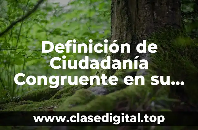 Definición de Ciudadanía Congruente en su Actualidad
