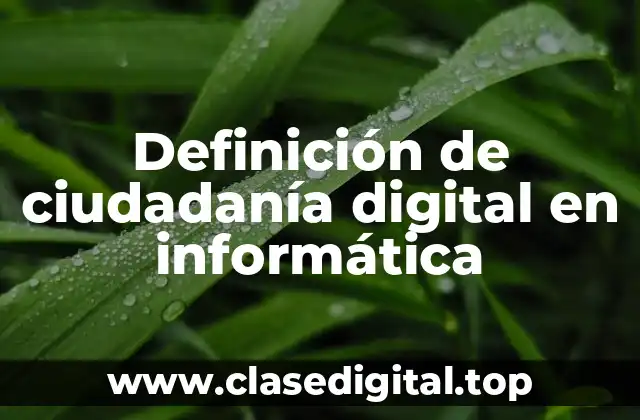 Definición de ciudadanía digital en informática