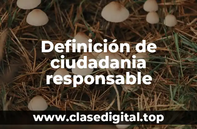 Definición de ciudadania responsable