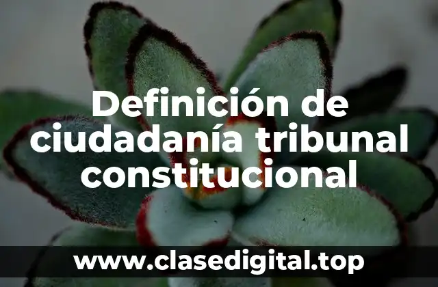 Definición de ciudadanía tribunal constitucional