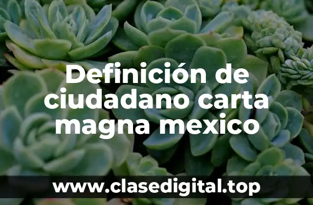 Definición de ciudadano carta magna mexico