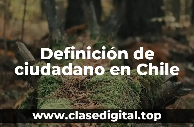 Definición de ciudadano en Chile
