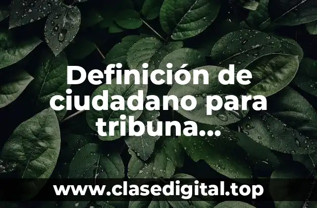 Definición de ciudadano para tribuna constitucional