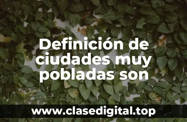 Definición de ciudades muy pobladas son