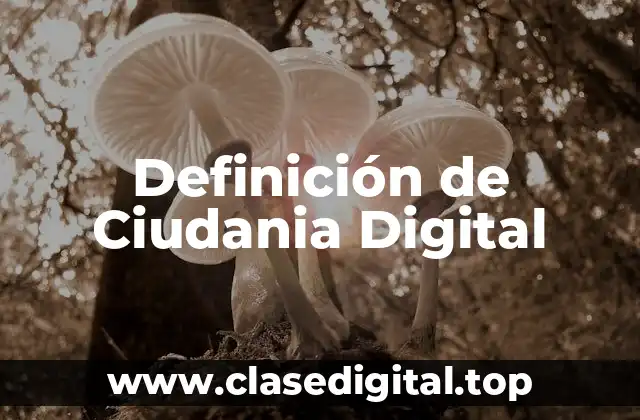 Ejemplos de Ciudania Digital