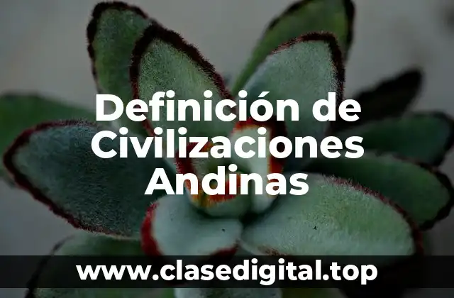 Definición de Civilizaciones Andinas